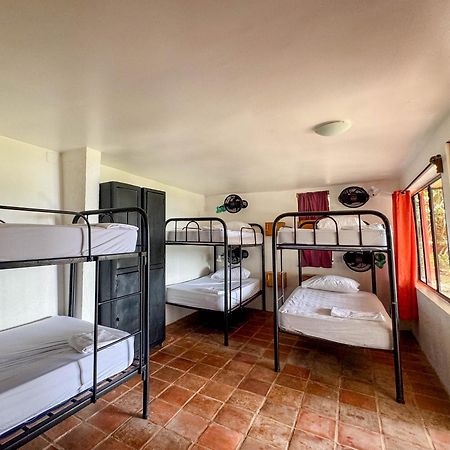 Hotel Coco Bay La Laguna Exteriér fotografie